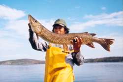 Northern pike.